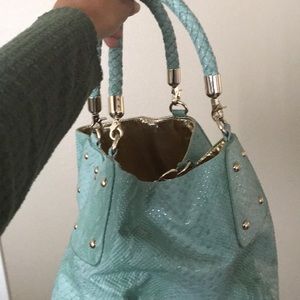 Turquoise snake skin purse